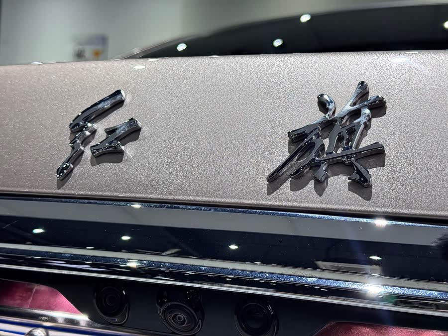Suzuki GuoYa 2024 car image #17