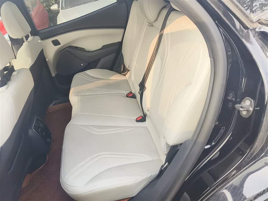 Ford Mustang Mach-E 2022 car image #17