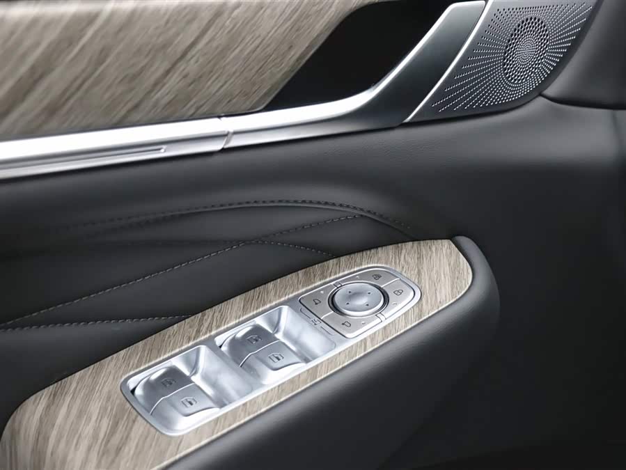 Tank 500 New Energy 2025 car image #17