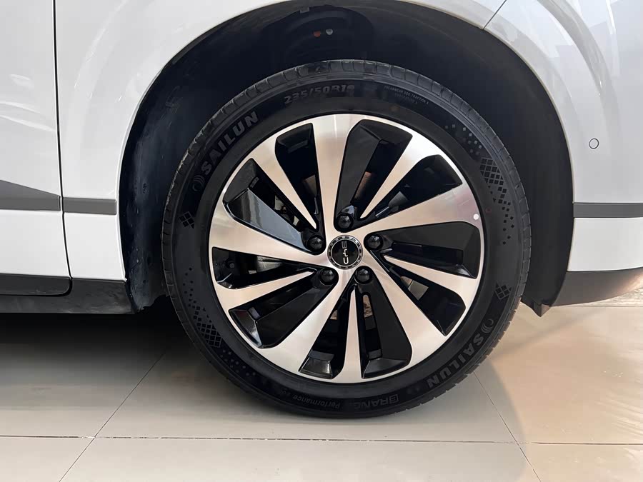 BYD Sea Lion 06 New Energy 2025 car image #17