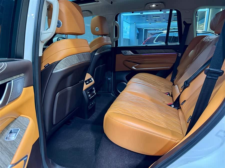 Tank 500 New Energy 2025 car image #17