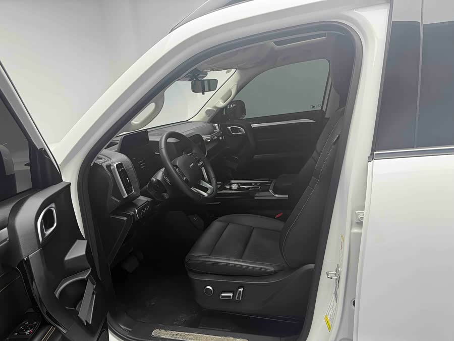 Haval X Dog / Dargo 2021 #17 Haval X Dog / Dargo 2021 car image #17