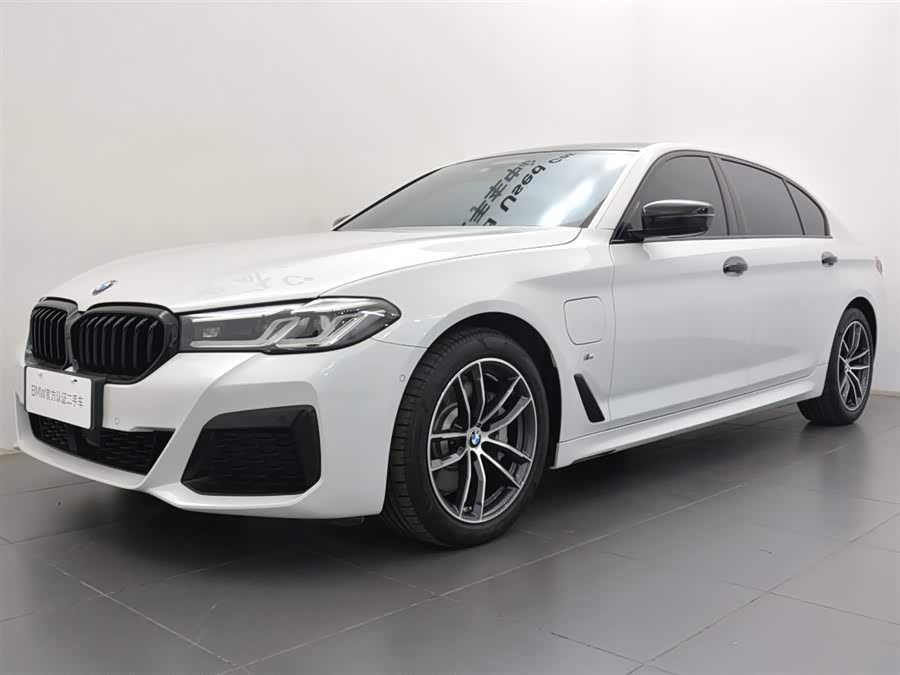BMW 5 Series New Energy 2021 car image #17