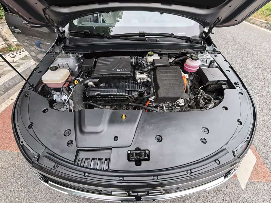 BYD Destroyer 05 2024 #17 BYD Destroyer 05 2024 car image #17