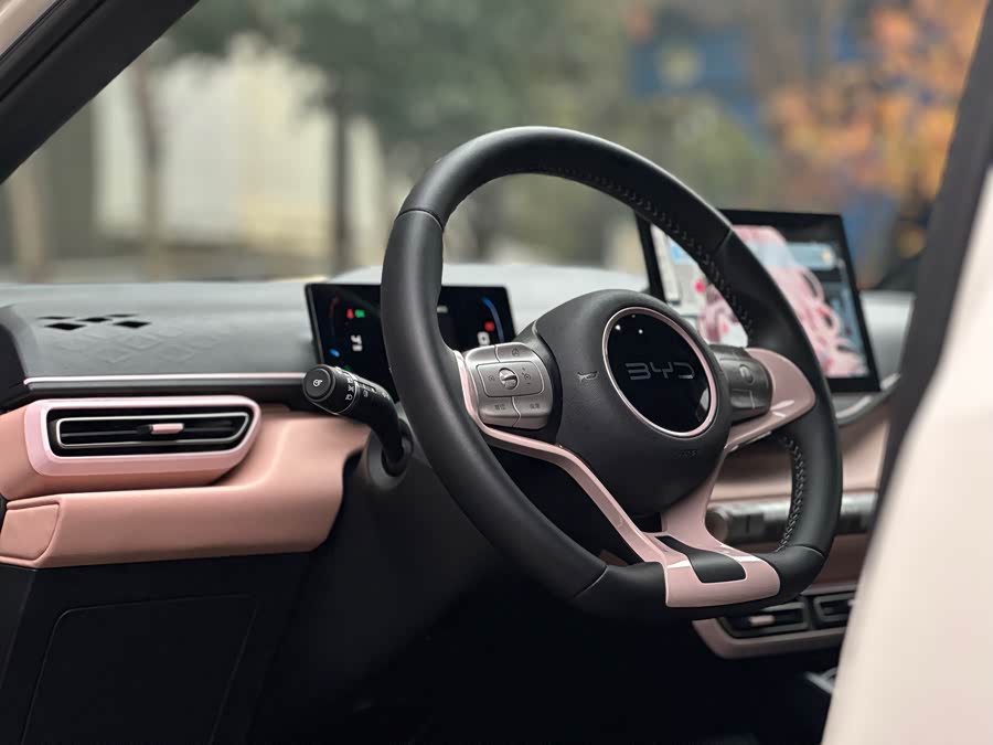 BYD Seagull 2024 #17 BYD Seagull 2024 صورة سيارة #17