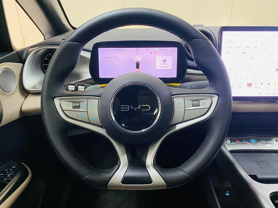 BYD Dolphin 2025 car image #17