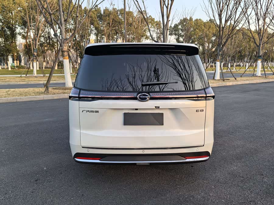 GAC Trumpchi E8 2024 car image #17