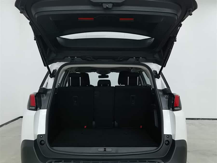 Peugeot 5008 2020 car image #17