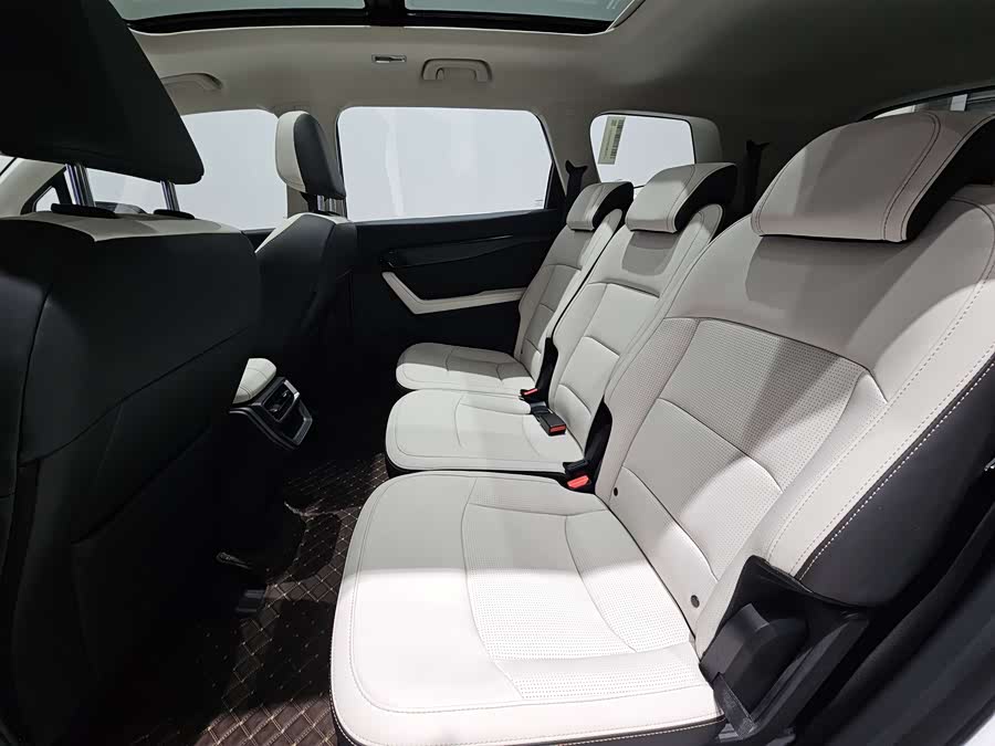 睿蓝汽车 睿蓝9 2024 汽车图片 #17