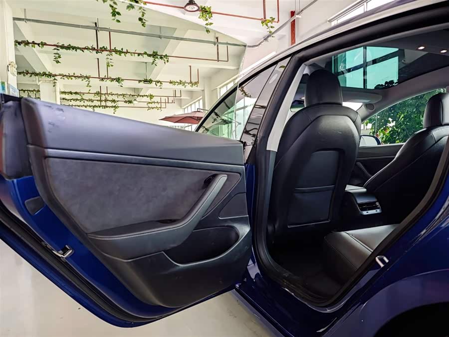 Tesla Model 3 2020 #17 Tesla Model 3 2020 car image #17