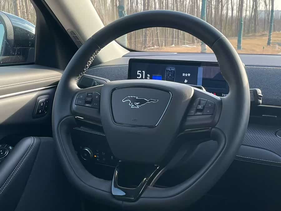 Ford Mustang Mach-E 2022 #17 Ford Mustang Mach-E 2022 car image #17