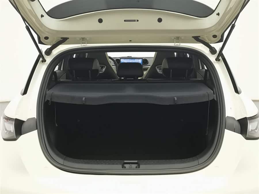 BYD Dolphin 2023 #17 BYD Dolphin 2023 car image #17