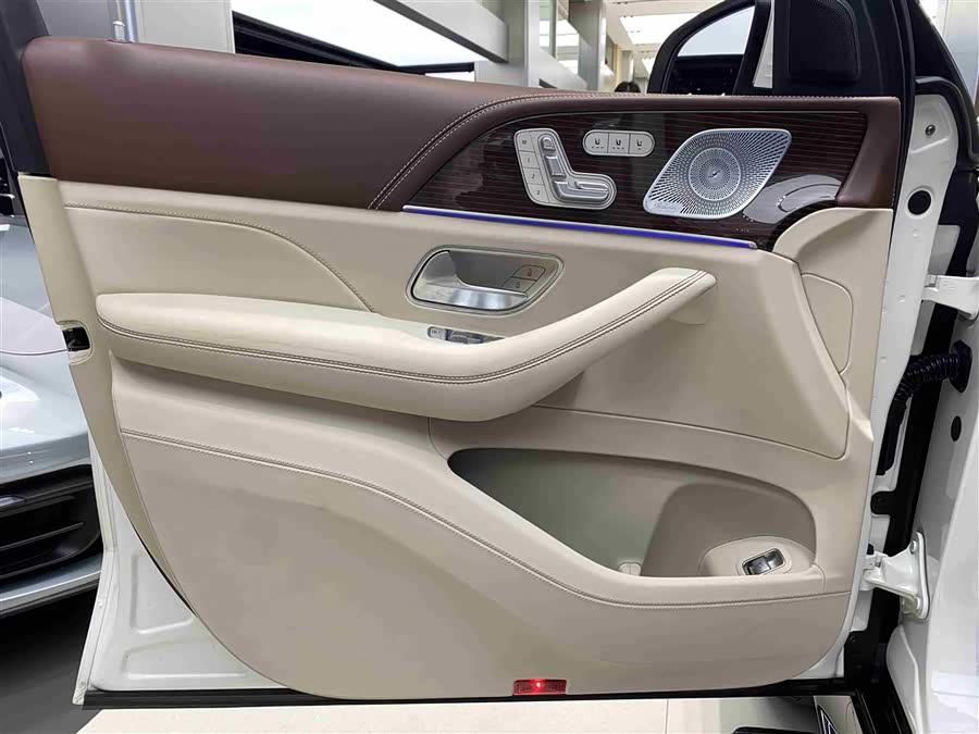 Mercedes-Benz Maybach GLS 2021 car image #17