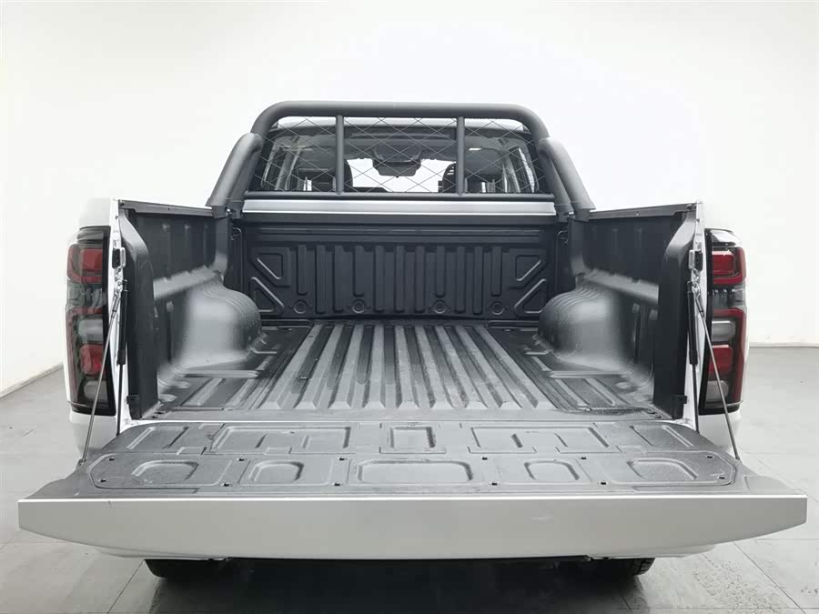 Great Wall 2025 car image #17