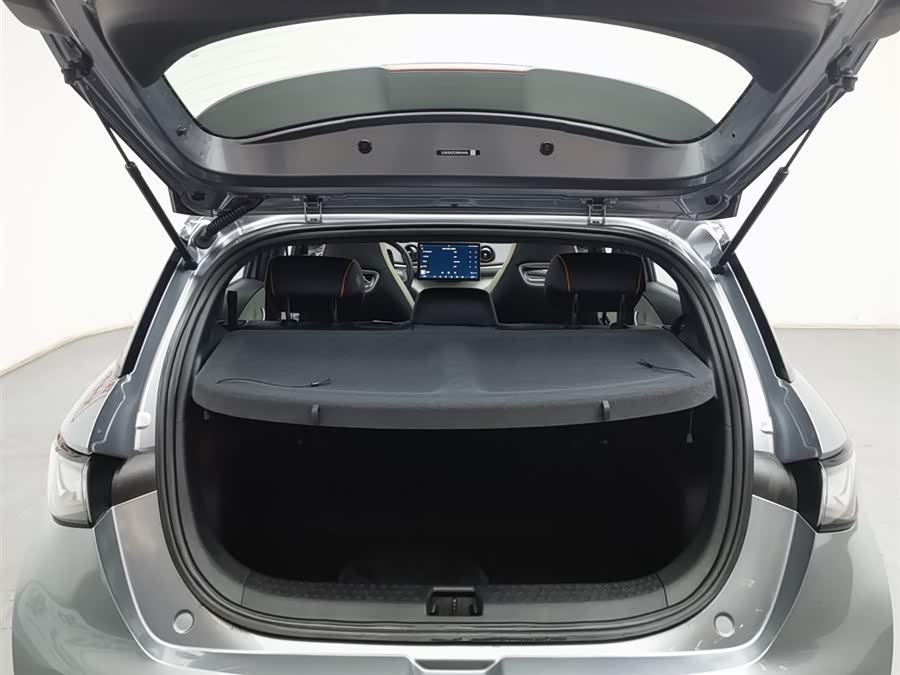 BYD Dolphin 2022 car image #17
