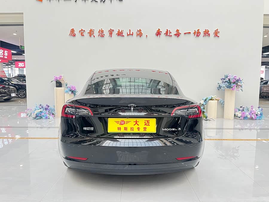 Tesla Model 3 2021 car image #17