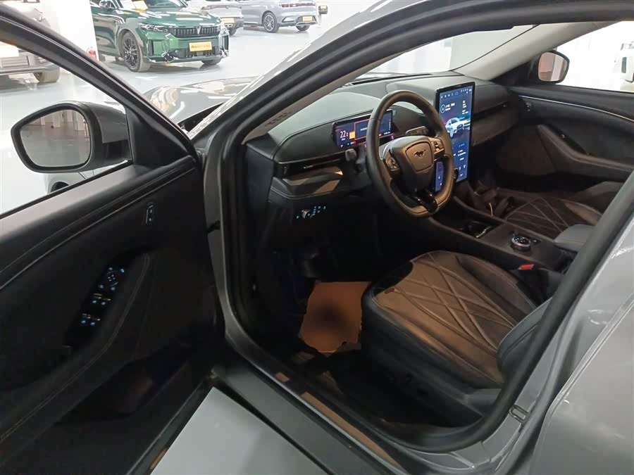 Ford Mustang Mach-E 2022 car image #17