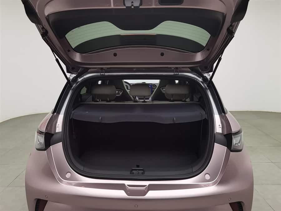 BYD Dolphin 2023 car image #17