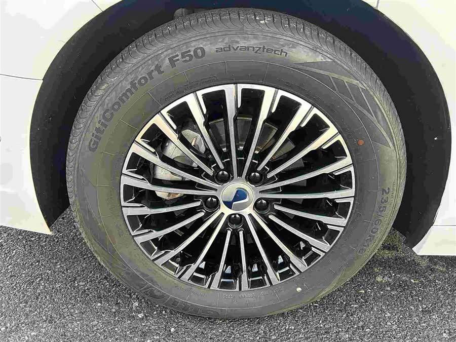 Denza D9 2023 immagine di auto #17