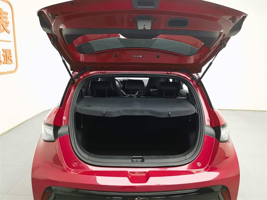 BYD Dolphin 2024 immagine di auto #17