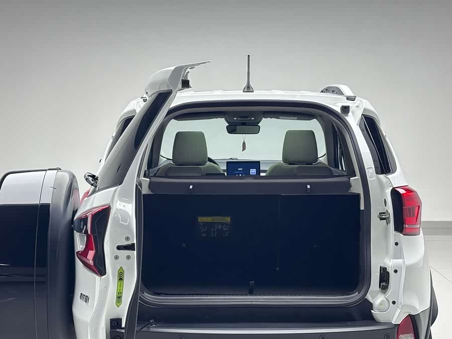 BYD Yuan Pro 2021 car image #17