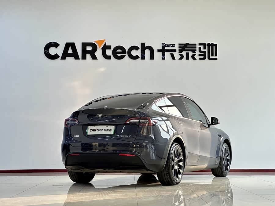 Tesla Model Y 2024 car image #17