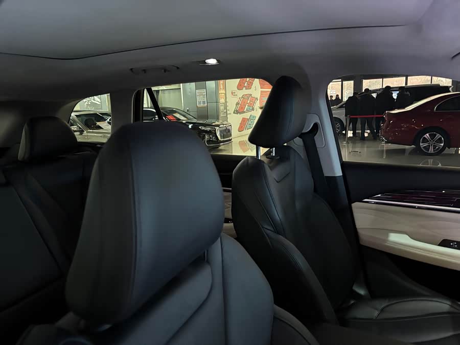 GEELY Monjaro 2023 car image #17