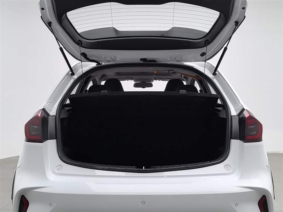 睿蓝汽车 睿蓝汽车X3 PRO 2023 汽车图片 #17