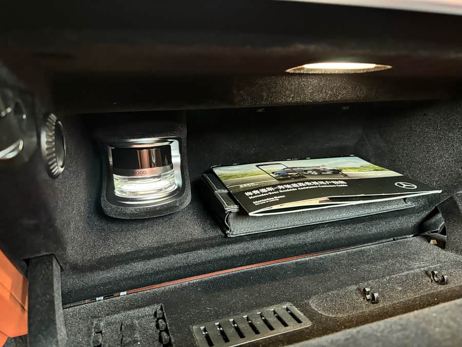 Mercedes-Benz S Class 2021 car image #17