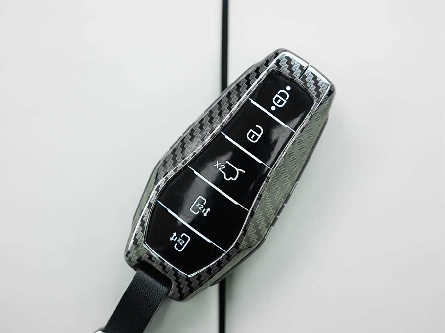 BYD Xia 2025 imagen de coche #17