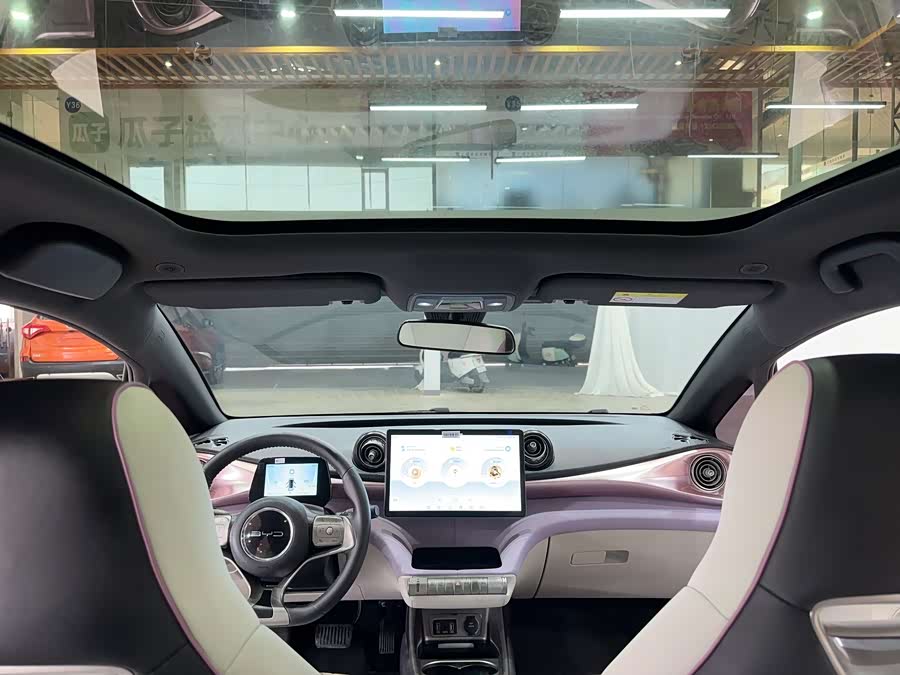 BYD Dolphin 2022 #17 BYD Dolphin 2022 immagine di auto #17