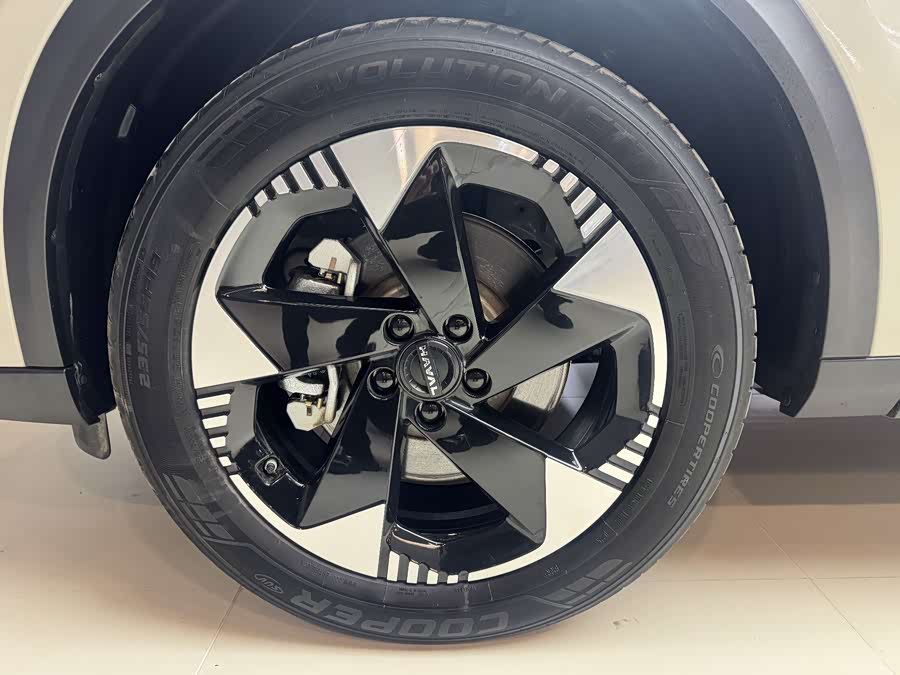 Haval Fierce Dragon MAX 2025 #17 Haval Fierce Dragon MAX 2025 car image #17