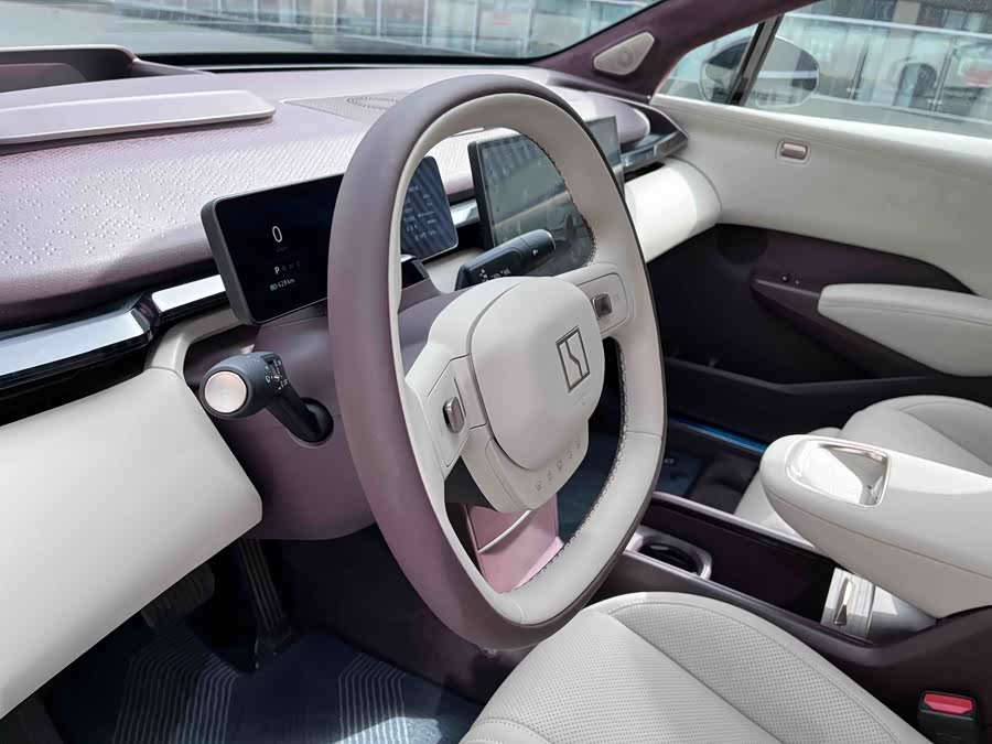 极氪 极氪X 2024 汽车图片 #17