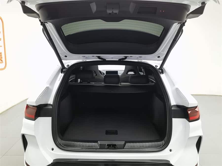 BYD Song Plus New Energy 2025 car image #17
