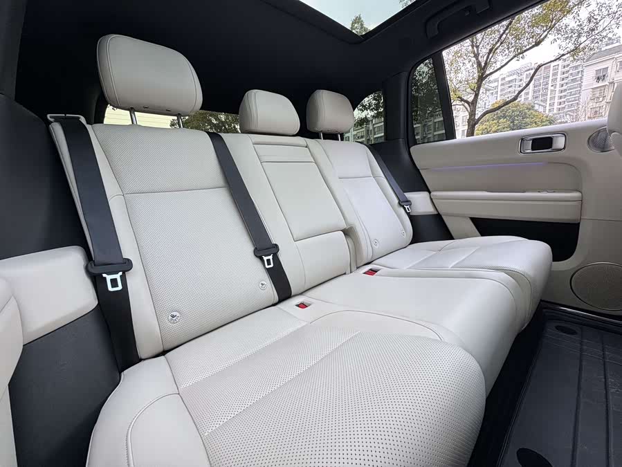 Li L6 2024 imagen de coche #17