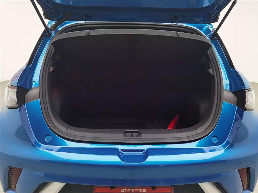 BYD Dolphin 2022 #17 BYD Dolphin 2022 immagine di auto #17