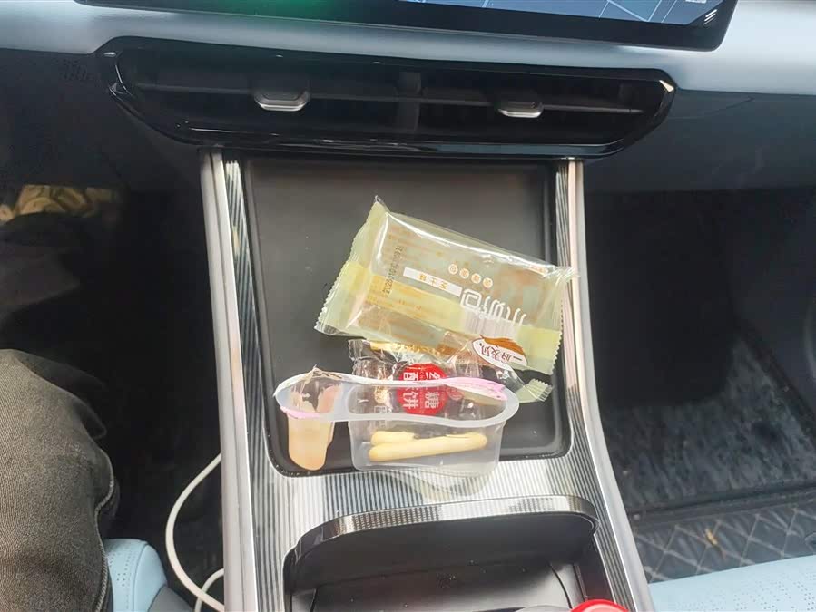 睿蓝汽车 睿蓝7 2023 汽车图片 #17