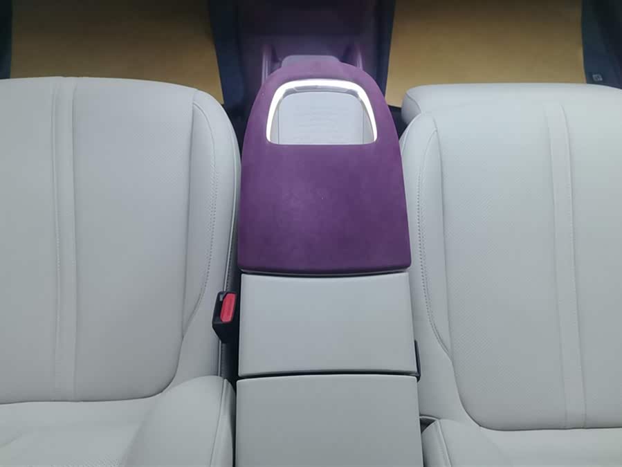 极氪 极氪X 2024 汽车图片 #17