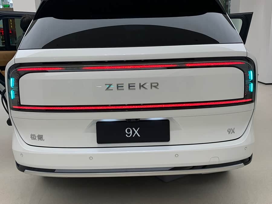 极氪 极氪9X 汽车图片 #17