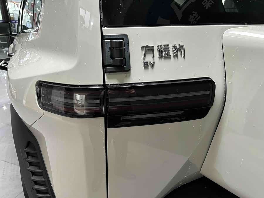 FangChengBao Tiger 3 2025 car image #17