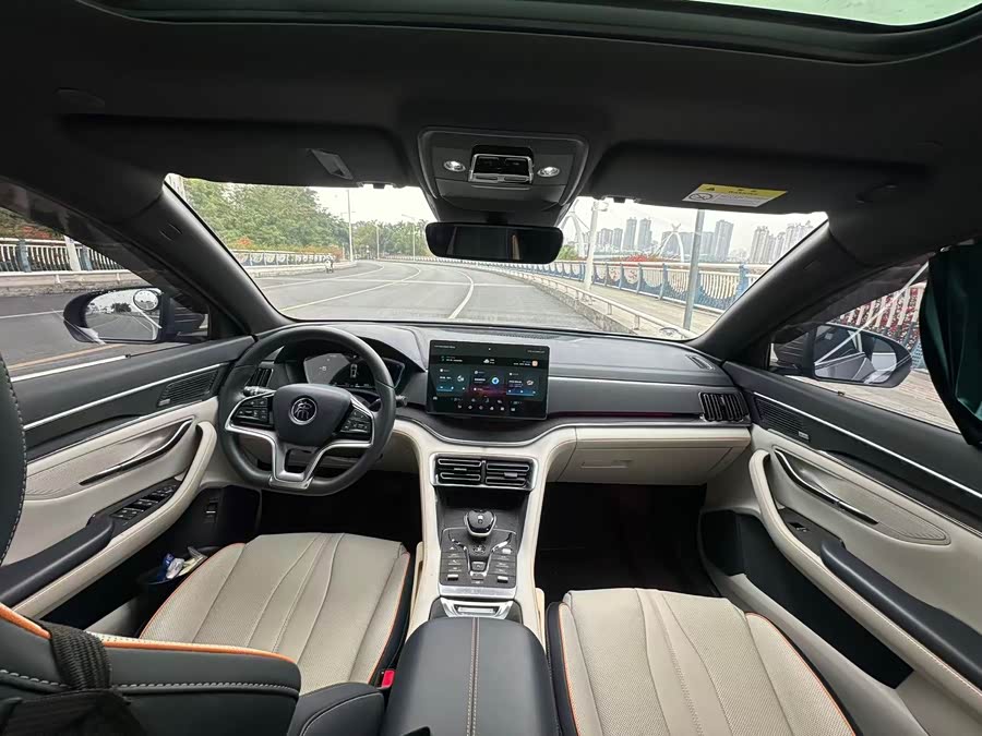BYD Song Plus New Energy 2022 car image #17