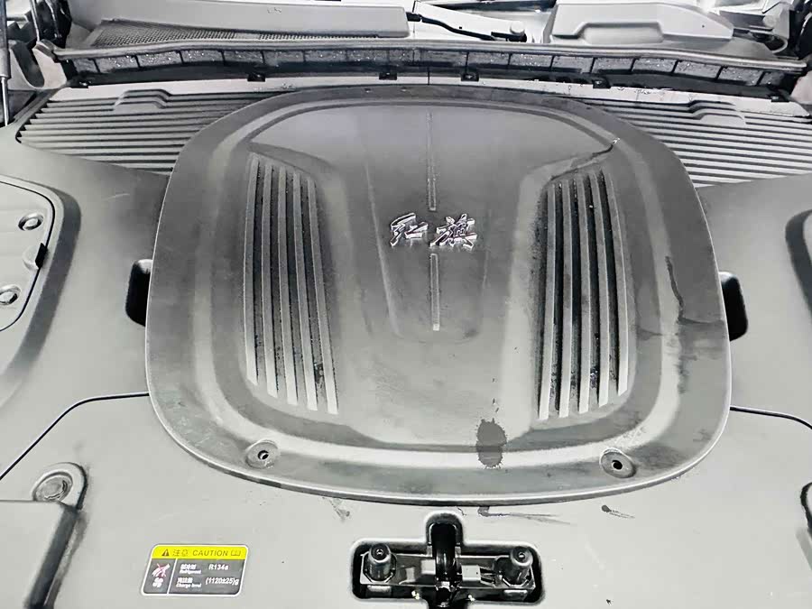 HongQi E-HS9 2023 image de voiture #17