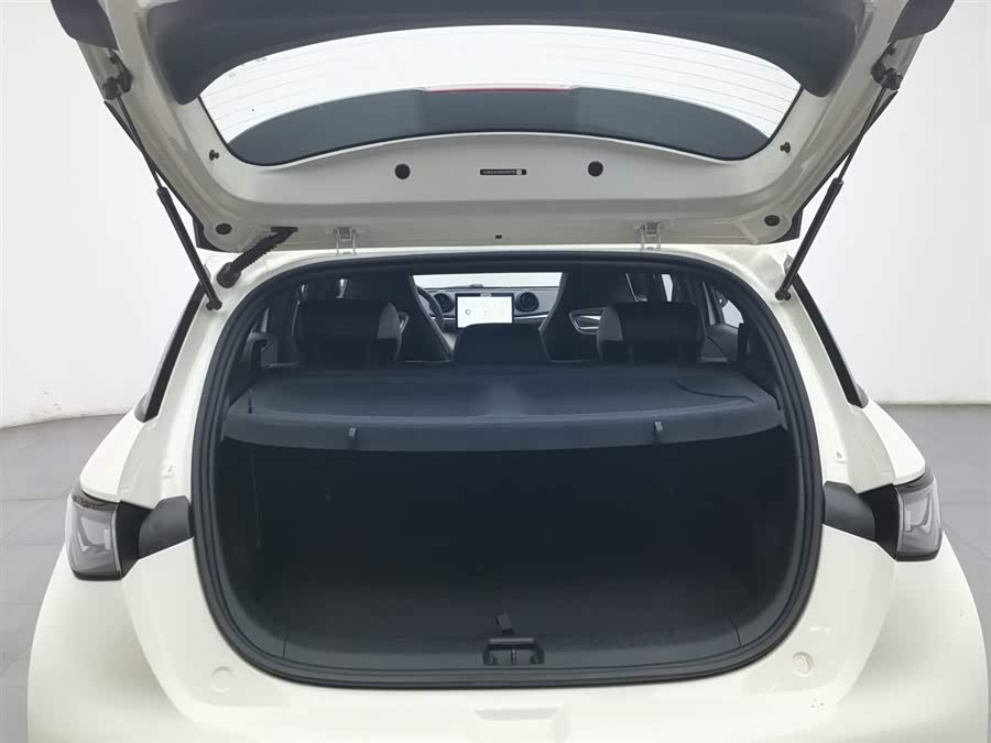 BYD Dolphin 2024 #17 BYD Dolphin 2024 car image #17