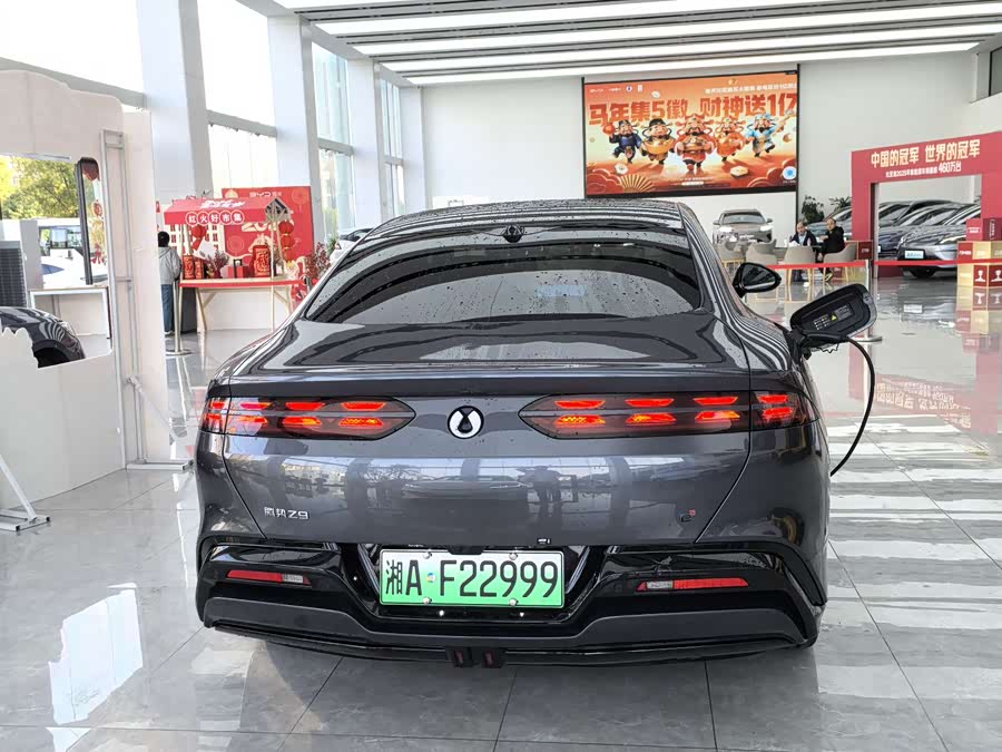 Denza Z9 2024 immagine di auto #17