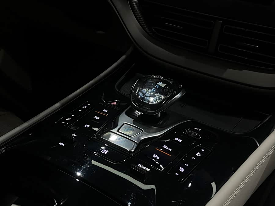 Denza D9 2025 imagen de coche #17