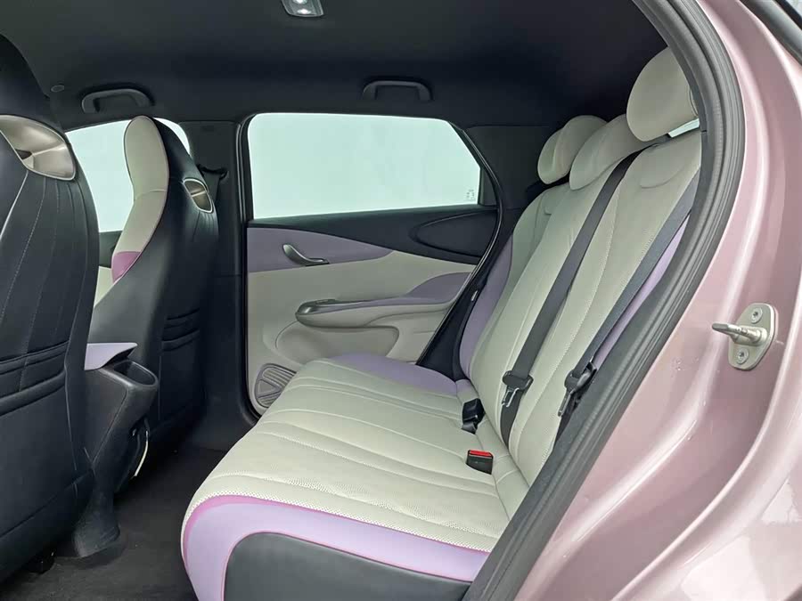 BYD Dolphin 2023 immagine di auto #17