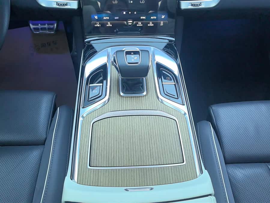 HongQi E-HS9 2023 image de voiture #17