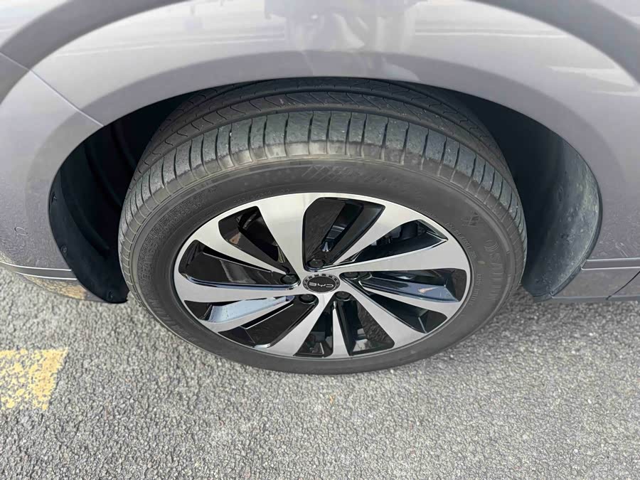 BYD Sea Lion 06 New Energy 2025 car image #17