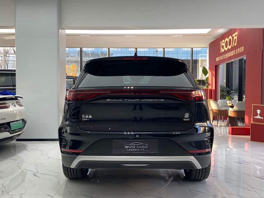 BYD Tang New Energy 2025 car image #17