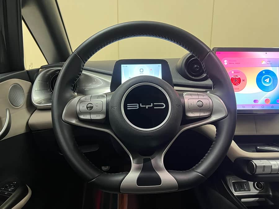 BYD Dolphin 2024 #17 BYD Dolphin 2024 car image #17